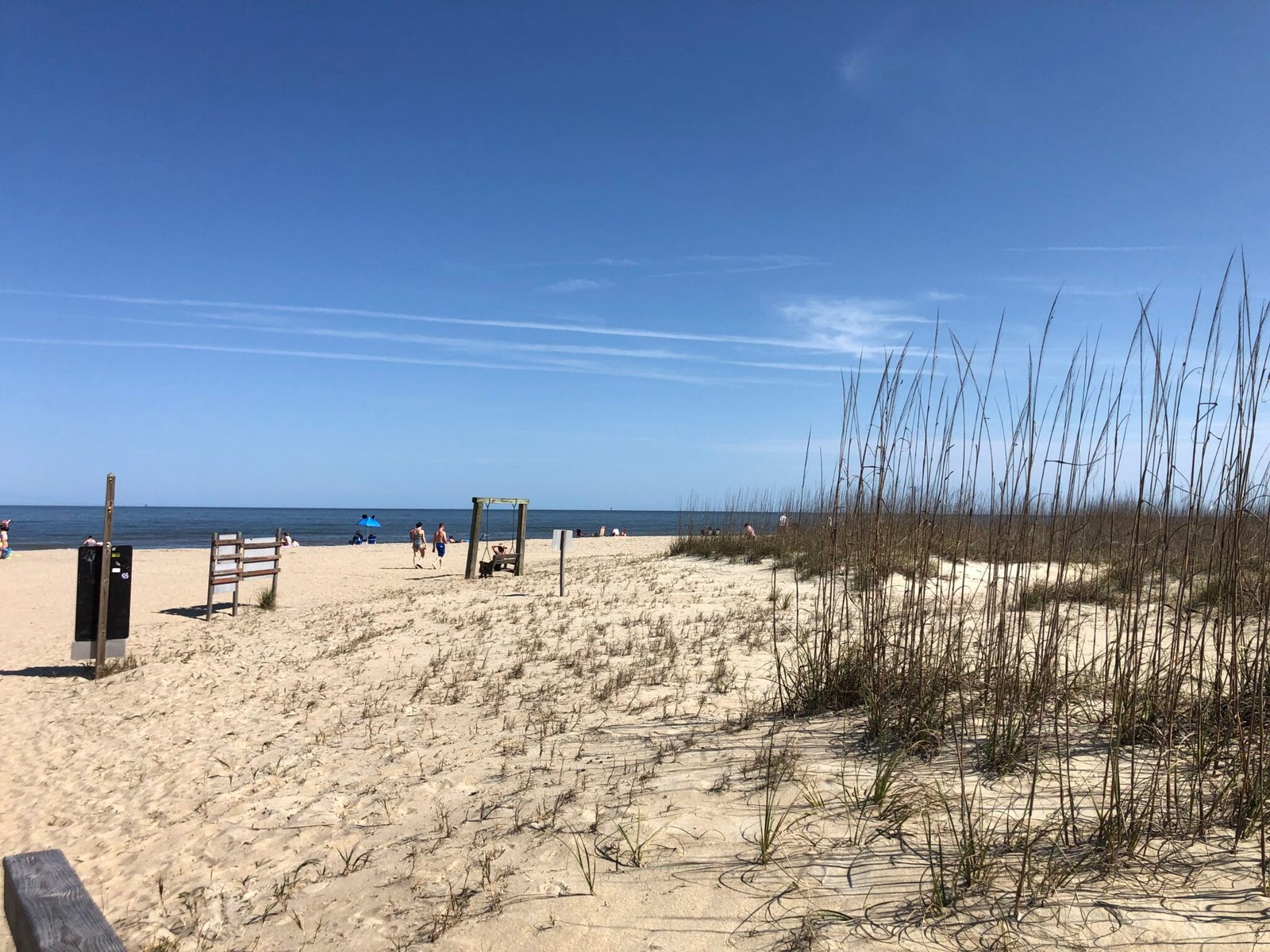 Skidaway Island – March 2021 – Gura Journeys and Ramblings